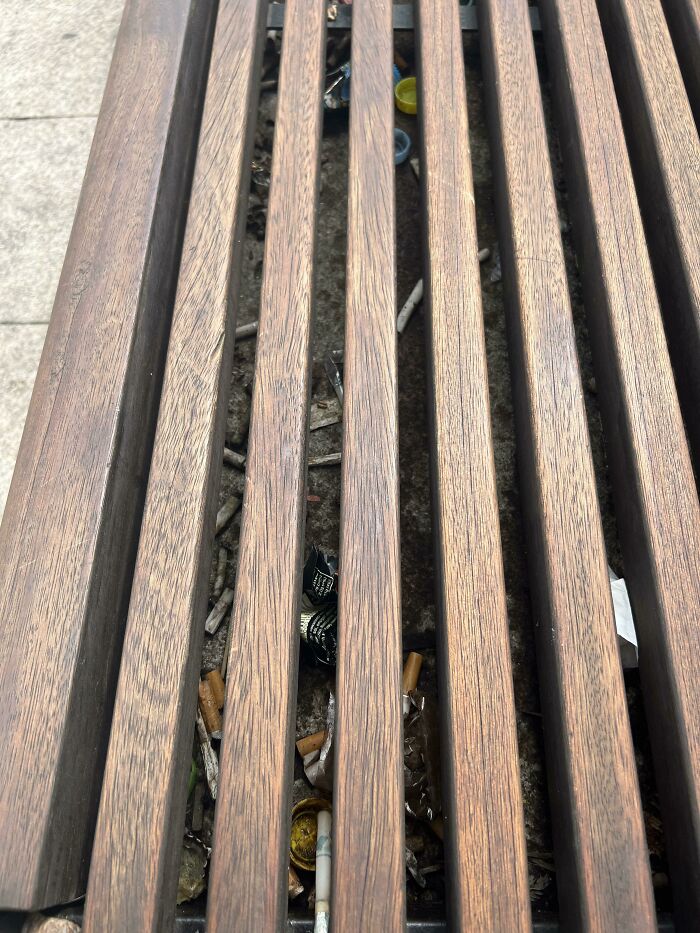 This Bench In Kraków, Poland That Hoards Trash