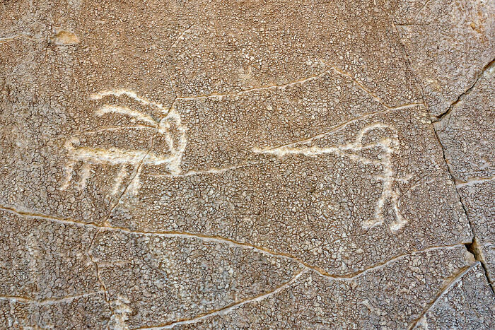 Ancient Rock Art I Found In The Desert In Israel: Hunter And Ibex