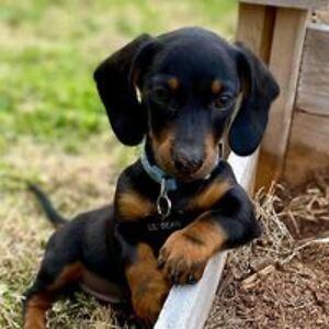 alexcarmenmacdonald avatar