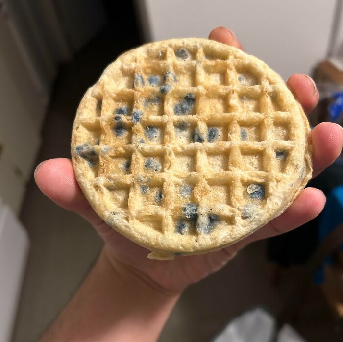 After Eating Two Of These Blueberry Waffles, I Went To Heat Up Two More And Saw That The Package Was For Plain Waffles. I Ate Mold