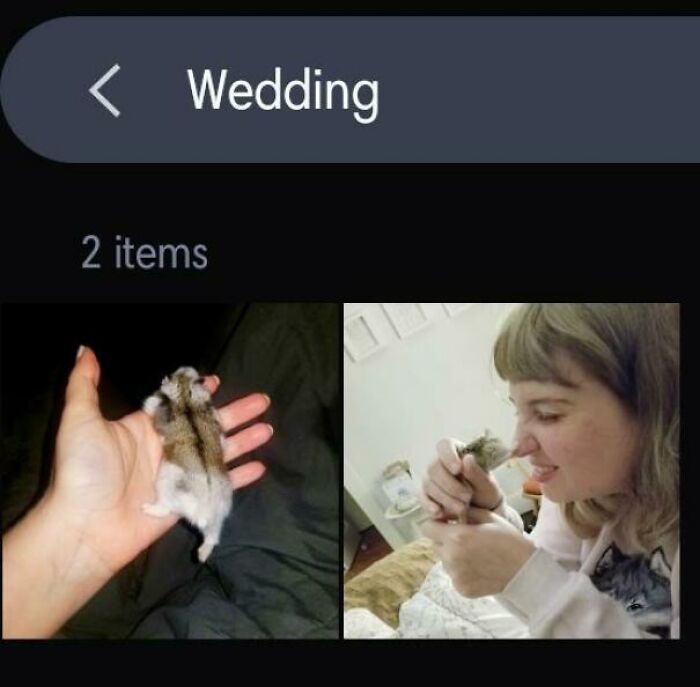 My Phone's Ai Thinks I'm Married To My Hamster