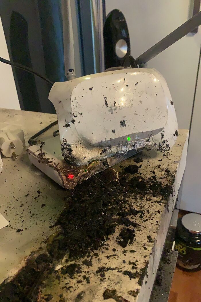 I Don't Know What's More Infuriating, My Whole Room Burning Down And Losing Everything I Have Or This: