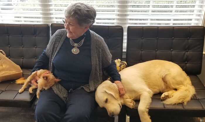 My Mom's Dentist's Office Has Therapy Dogs For Nervous Patients Like Her