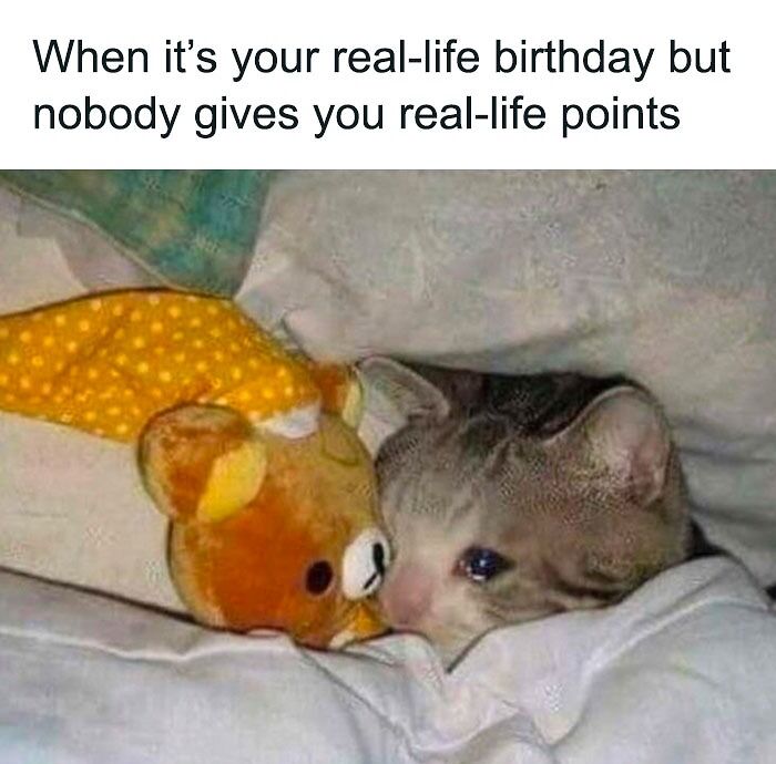 birthday meme about real-life birthday