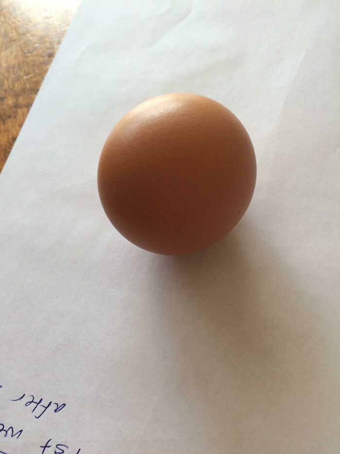 My Chicken Laid A Spherical Egg