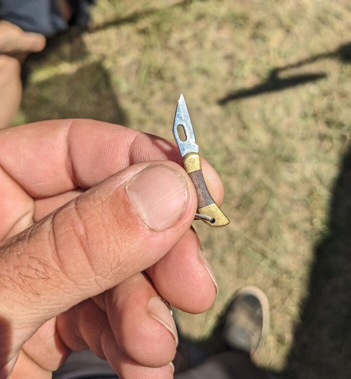 I Found A Tiny Pocket Knife At A Music Festival