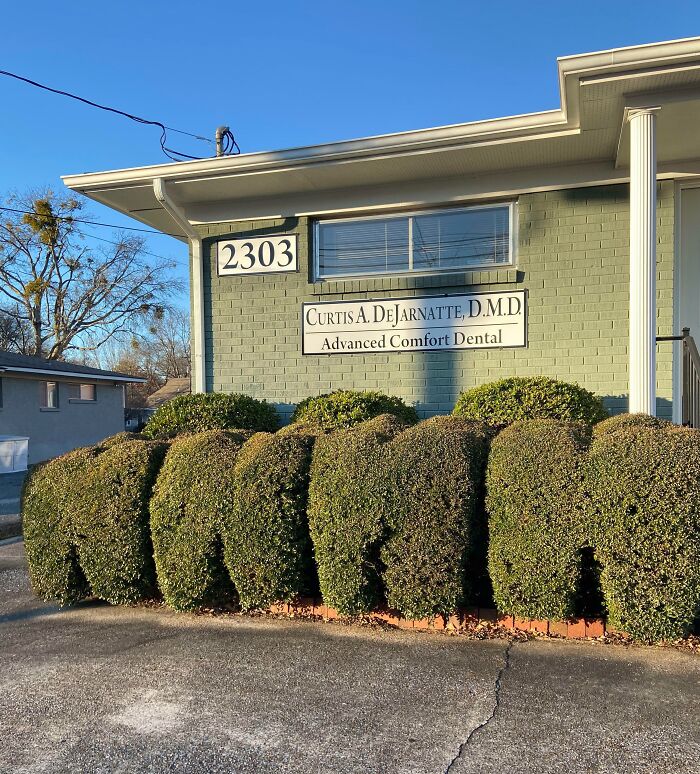 This Dental Office Trims Their Shrubs To Look Like Molars
