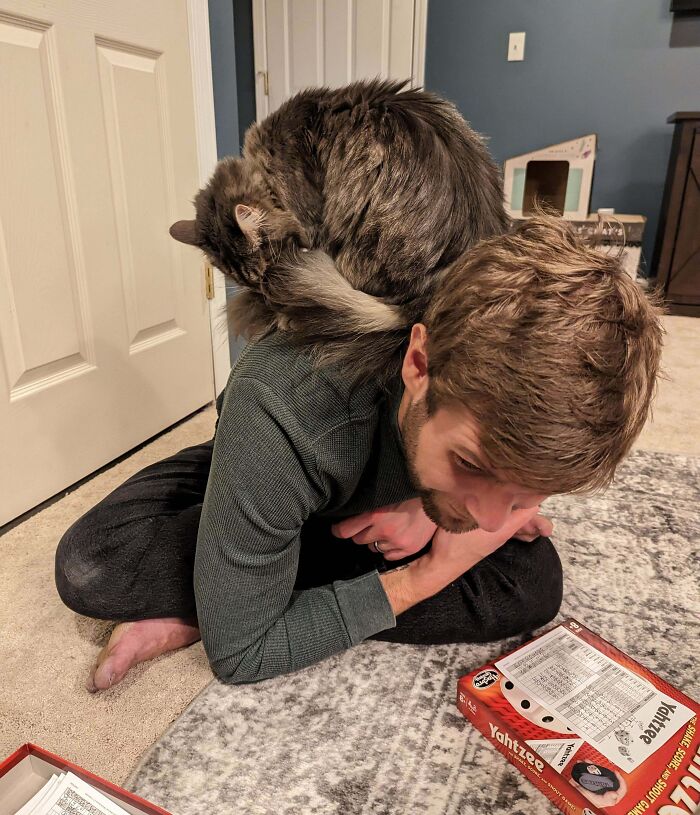 When I Met My Husband 10 Years Ago, He Didn't Think He Was A Cat Person. This Is How He Plays Yahtzee Today. Also, The Cat Clearly Doesn't Understand What The Personal Space Is