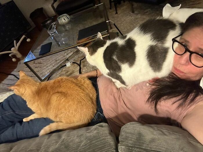 What Personal Space Looks Like When You Have Cats
