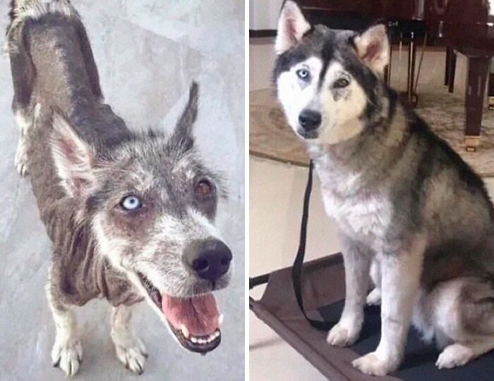 Amazing How Love Changes Someone