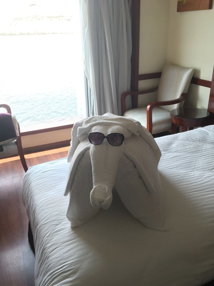 La limpiadora del hotel encontró mis gafas de sol