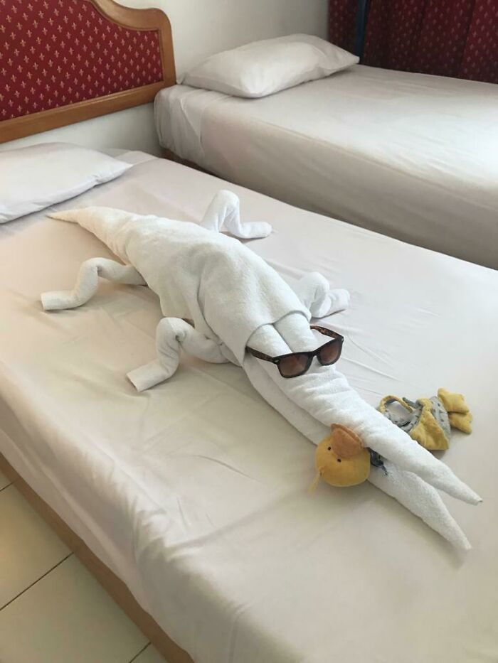 The Staff At Our Hotel Made A Cool Crocodile Out Of Our Towels