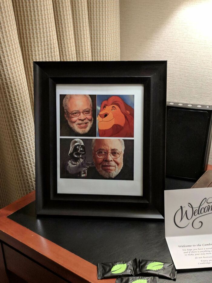 Requested A Photo Of James Earl Jones For My Hotel Room. 5 Star Customer Service