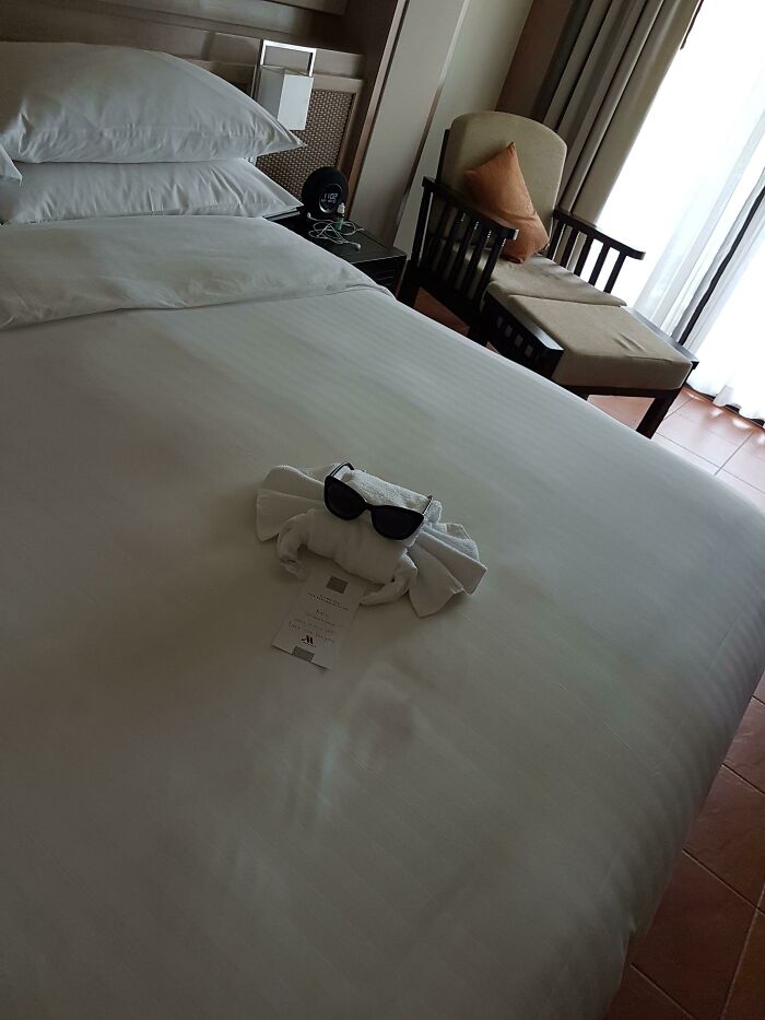 The Crab The Cleaners Left In Or Hotel Room Made From Towels