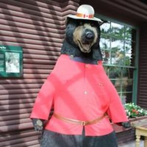 lindajforrest avatar