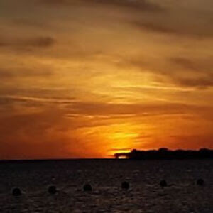 michellerollins avatar