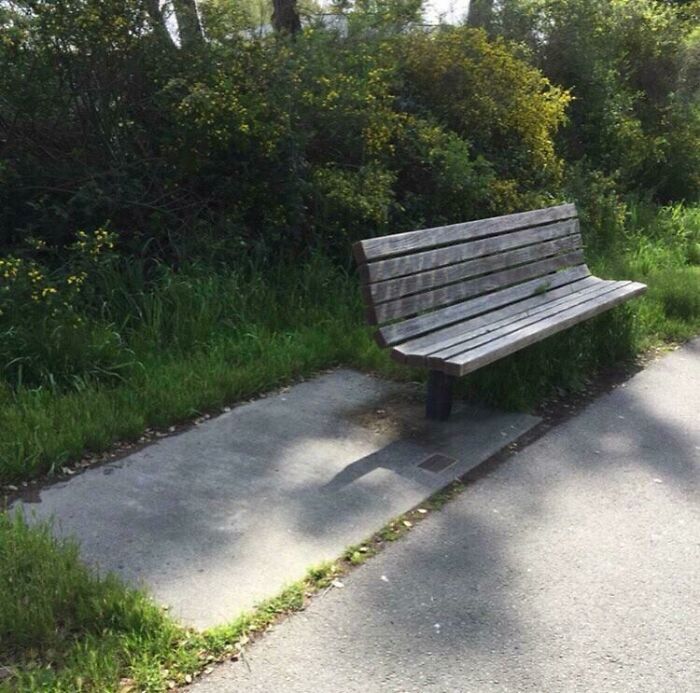 This Bench Is Truly Amazing