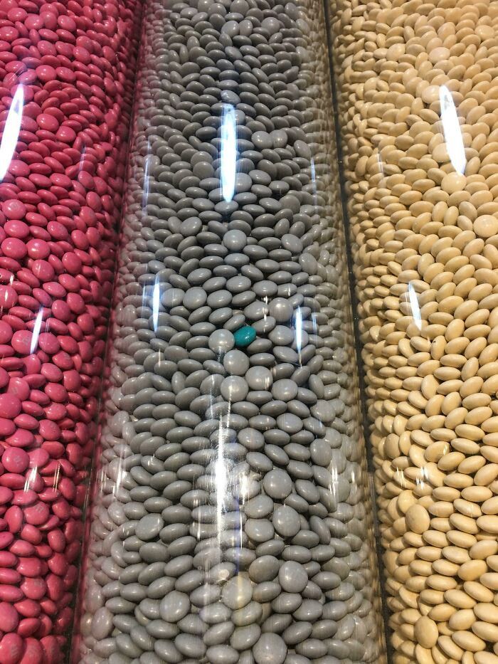 This Out Of Place M&m At The Store In Times Square