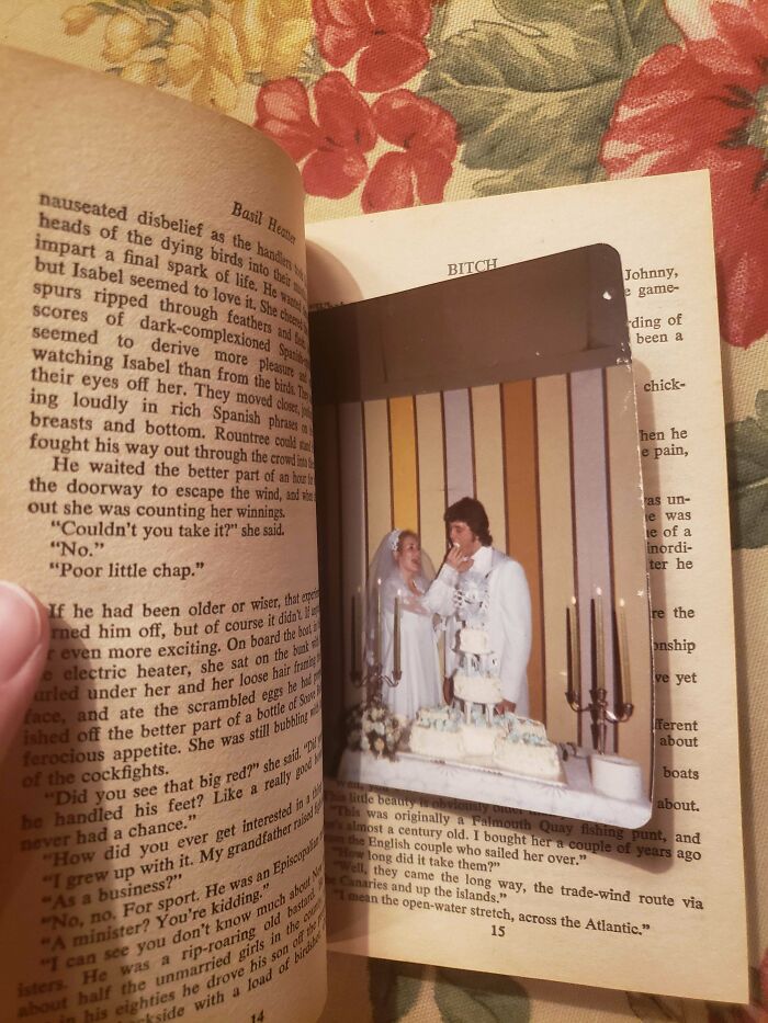 Vintage Wedding Photo Found In 70s Erotica Novel "Bitch"