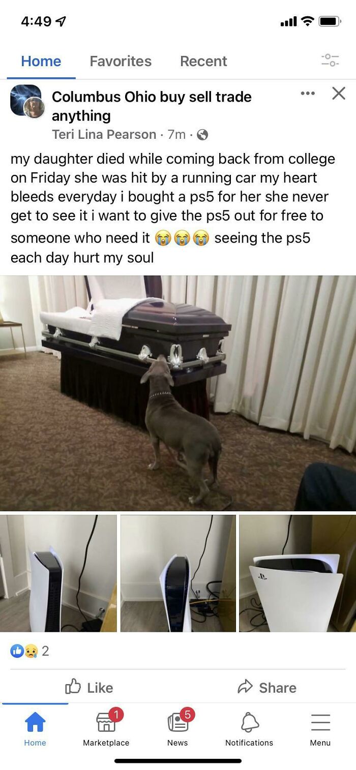Free Ps5