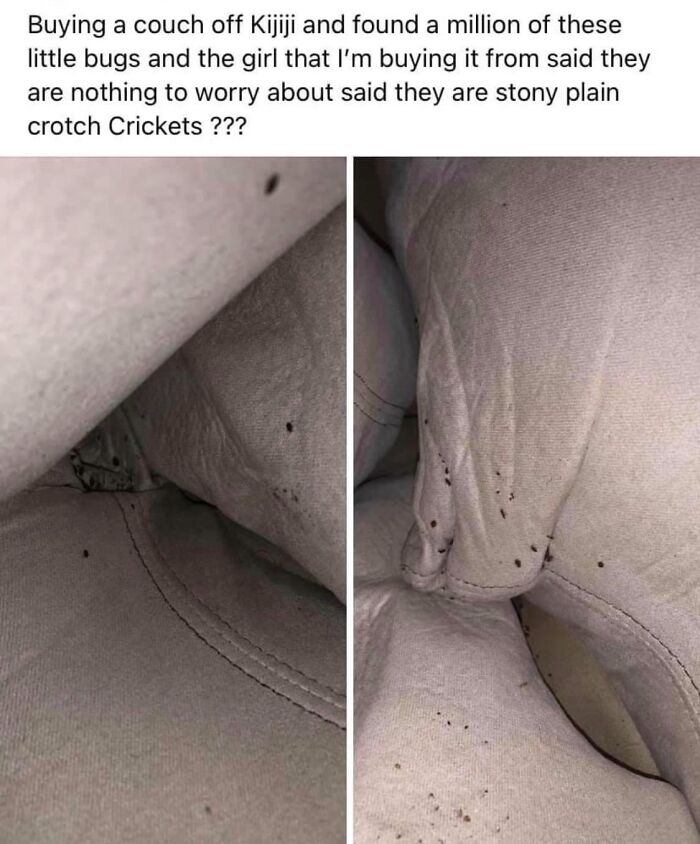 Stony Mountain Crotch Crickets! (Found On Another Site, I Looked For It On Here And Didn’t See It So If It’s A Repeat I Apologize)