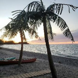 jasonmartin_1 avatar