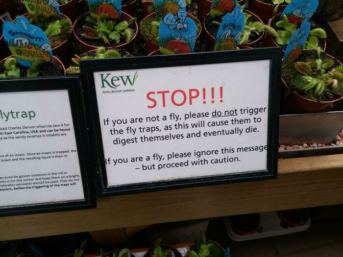 This Sign In Front Of A Bunch Of Venus Flytrap