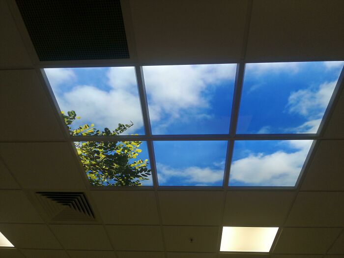 The "Skylight" In Our Canteen