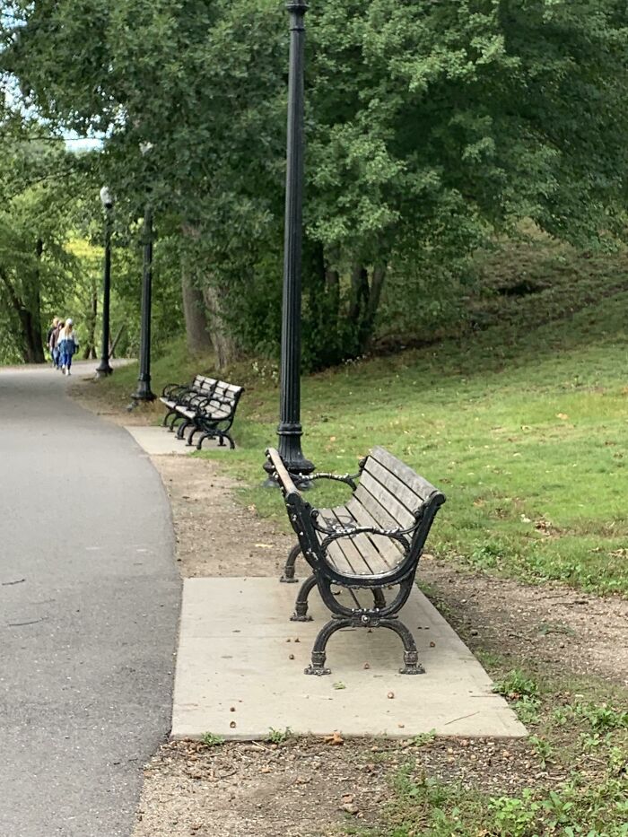 This Park Bench With Two Backs