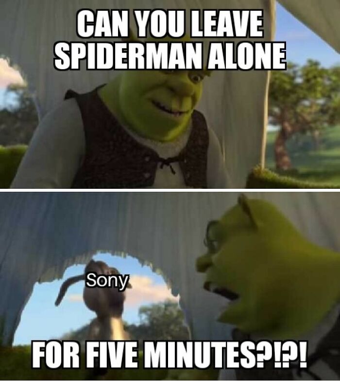 Shrek meme with text about Spiderman and Sony, humorously demanding a break from Spiderman-related issues.
