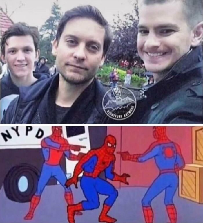 Three people smiling in a park with a Spiderman meme below showing three Spidermen pointing at each other.