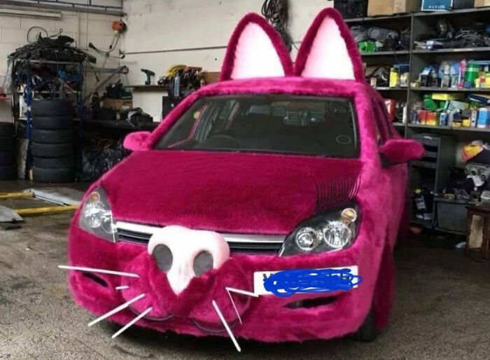 If Your Car Doesn't Look Like This, Don't Call Yourself A Furry