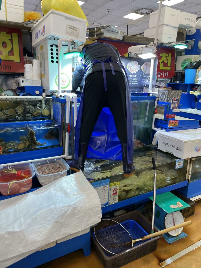 Earlier Today At Noryangjin Seafood Market In Seoul