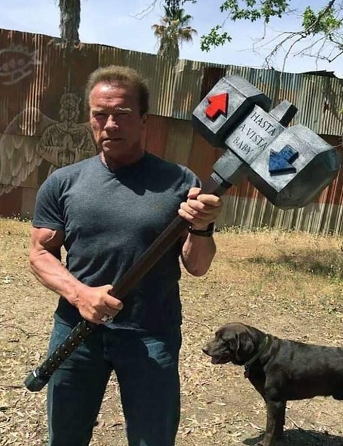 Arnold, Guardián de reddit