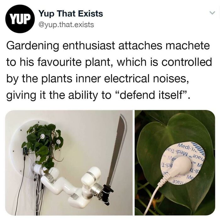 Plant The Machete