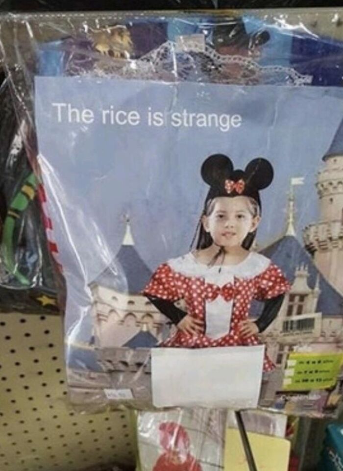 Strange Rice Mouse