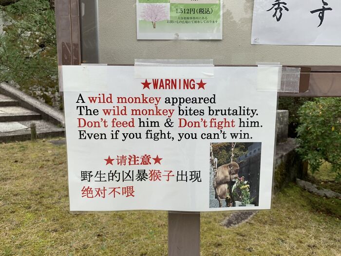 Beware Of Monkey
