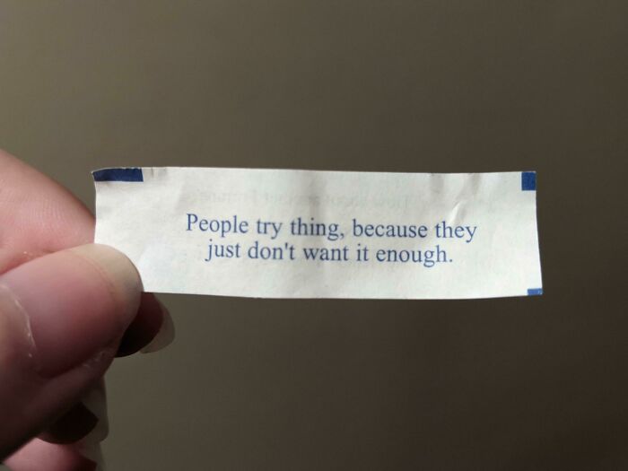 The Fuck Does This Mean