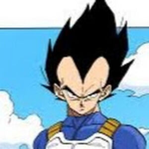 vegetaiscrazy avatar