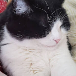 michellebanwell avatar