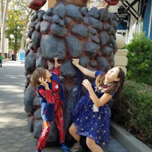 margaretboyer avatar