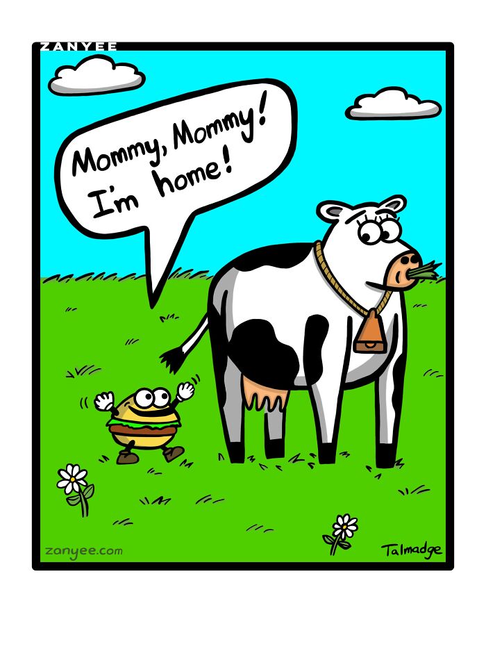 A hamburger and a cow