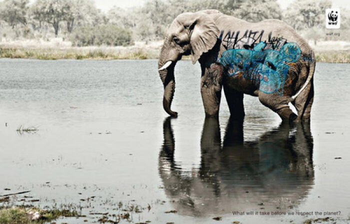 WWF: "¿Qué hace falta para que respetemos el planeta?"