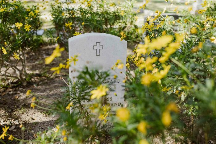 Marble tombstone surrounded by yellow flowers in a peaceful setting, illustrating unusual useless facts to impress friends.