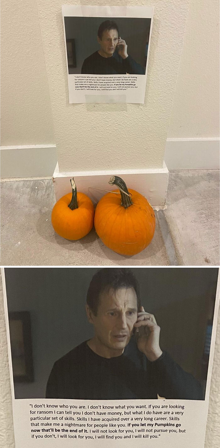 My Neighbors Keep Stealing My Pumpkin Decorations. Let The Games Begin