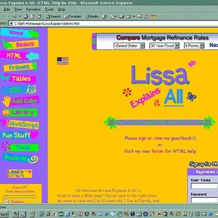 If You Built Websites In The 90s Lisa Explains Was The Website To Learn From