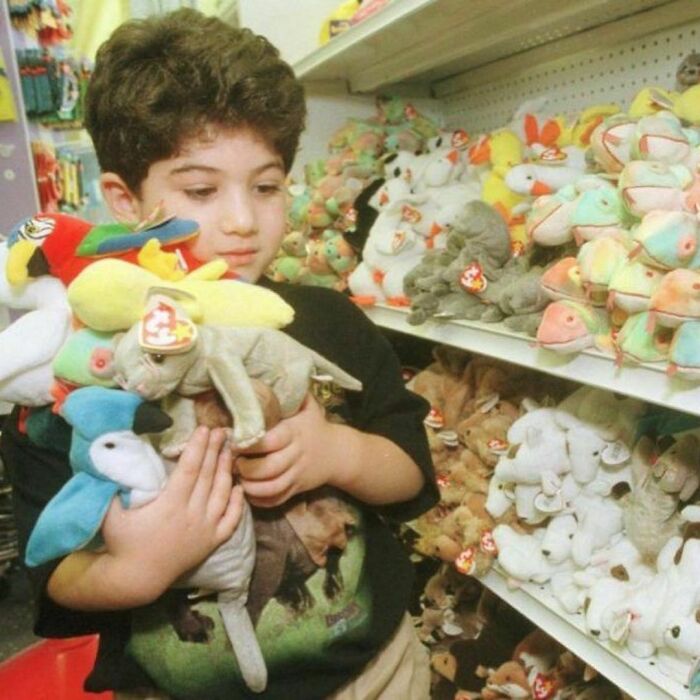 Did Any Of You Guys Have Beanie Baby Collections? They Were The Cutest