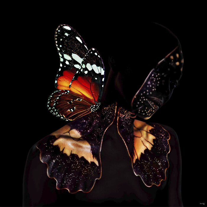 Butterfly B22, 2018