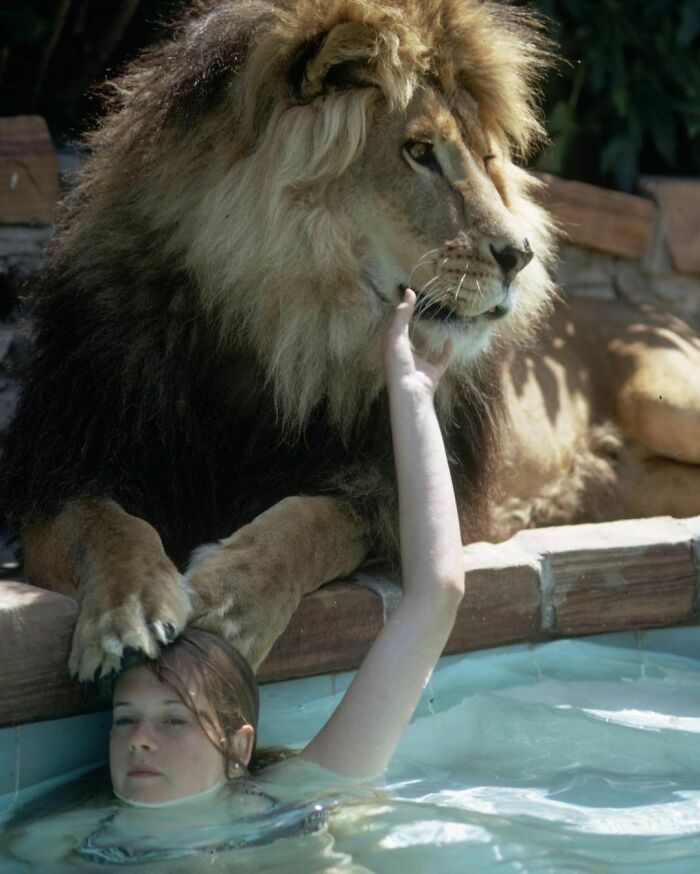 Melanie Griffith a los 14 años con su león mascota Neil,1971