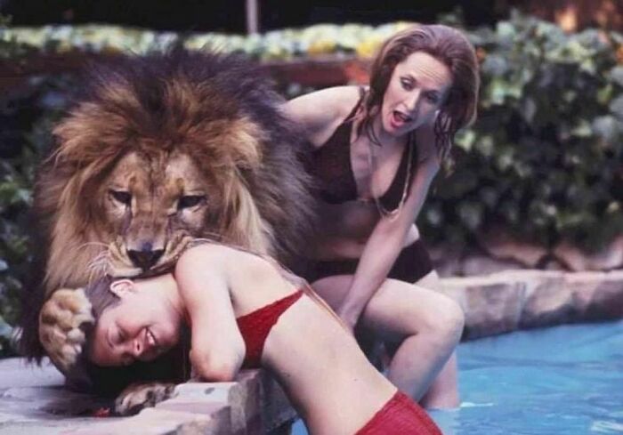Tippi Hedren With Her Daughter Melanie Griffith And Their 400 Ib Pet Lion Named Neil At Their Pool In Sherman Oaks In 1971
